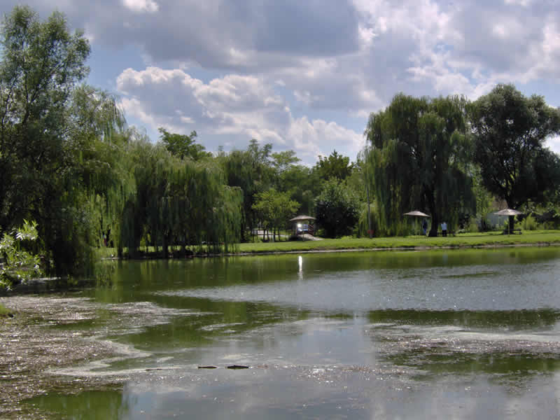 Saopštenje o rezultatima likovnog konkursa „Naša ekološka lepota“