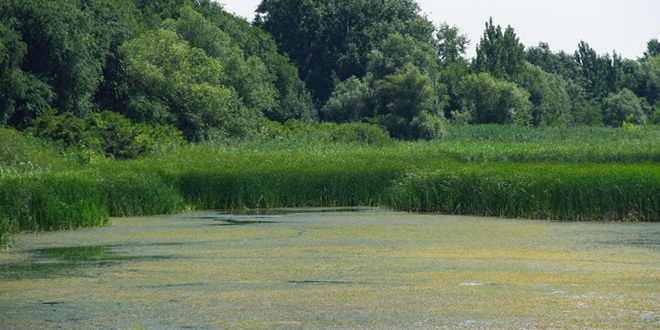 Bačko Podunavlje novi Unesko rezervat biosfere u Srbiji